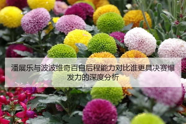 潘展乐与波波维奇百自后程能力对比谁更具决赛爆发力的深度分析